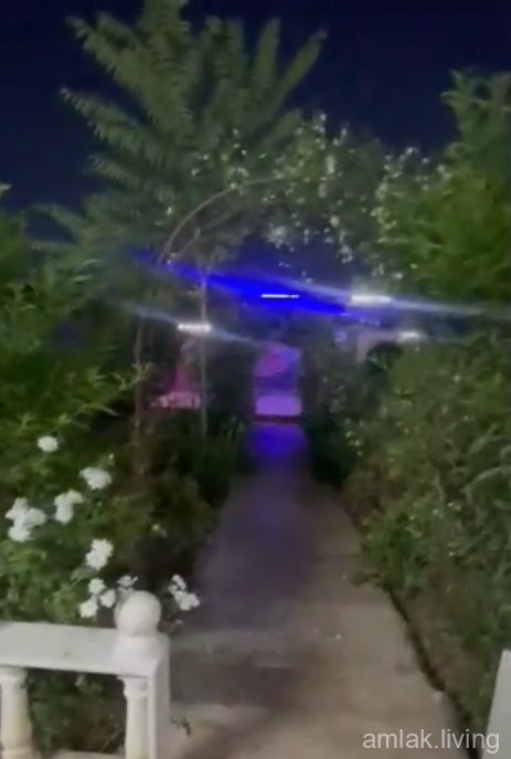 صورة العقار