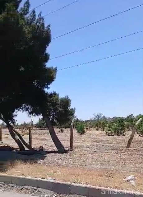 صورة العقار