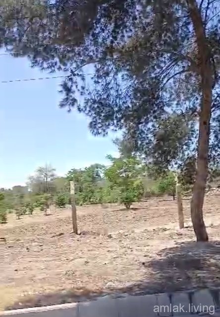 ارض بعد جسر عقربا ب100 متر للبيع (489)