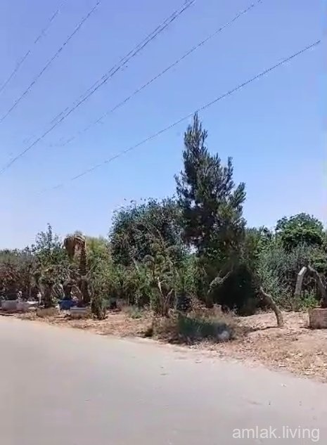 صورة العقار