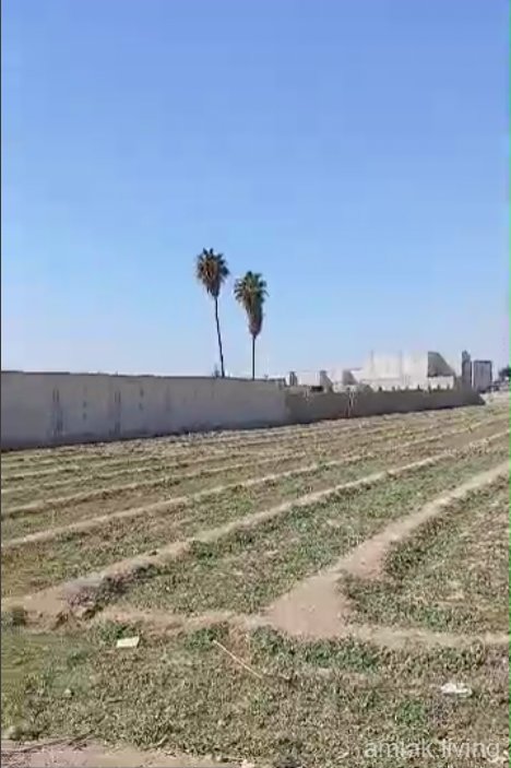 صورة العقار