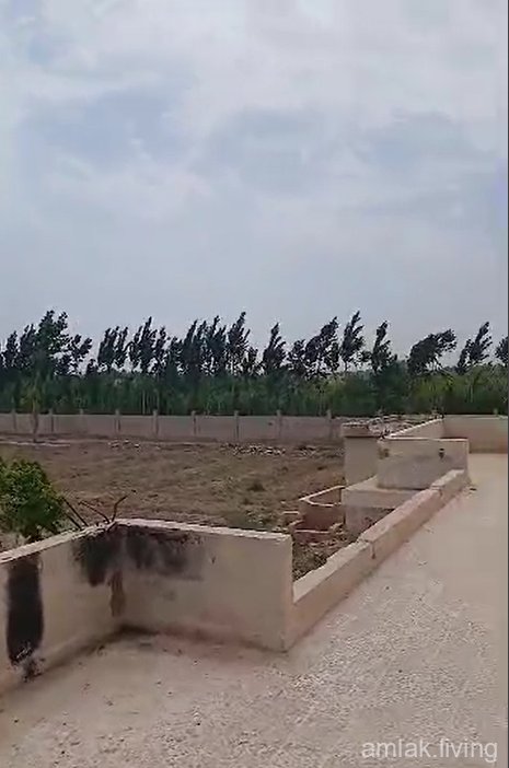 صورة العقار
