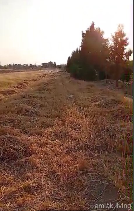 صورة العقار