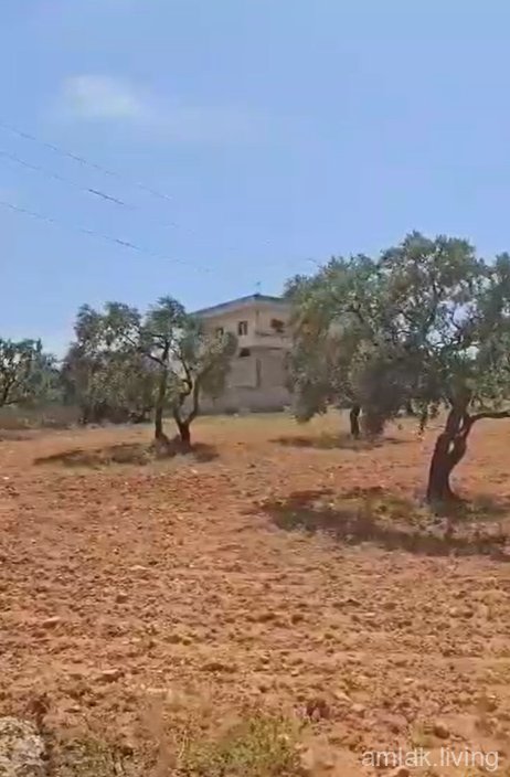 صورة العقار