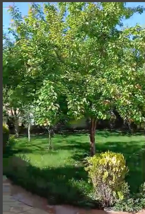 صورة العقار