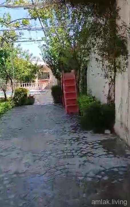صورة العقار