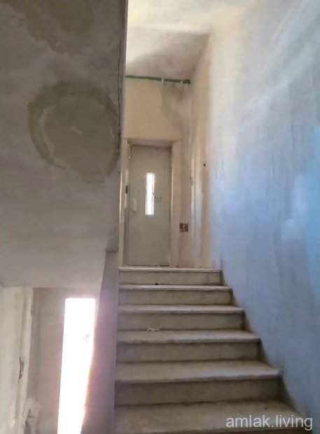 صورة العقار