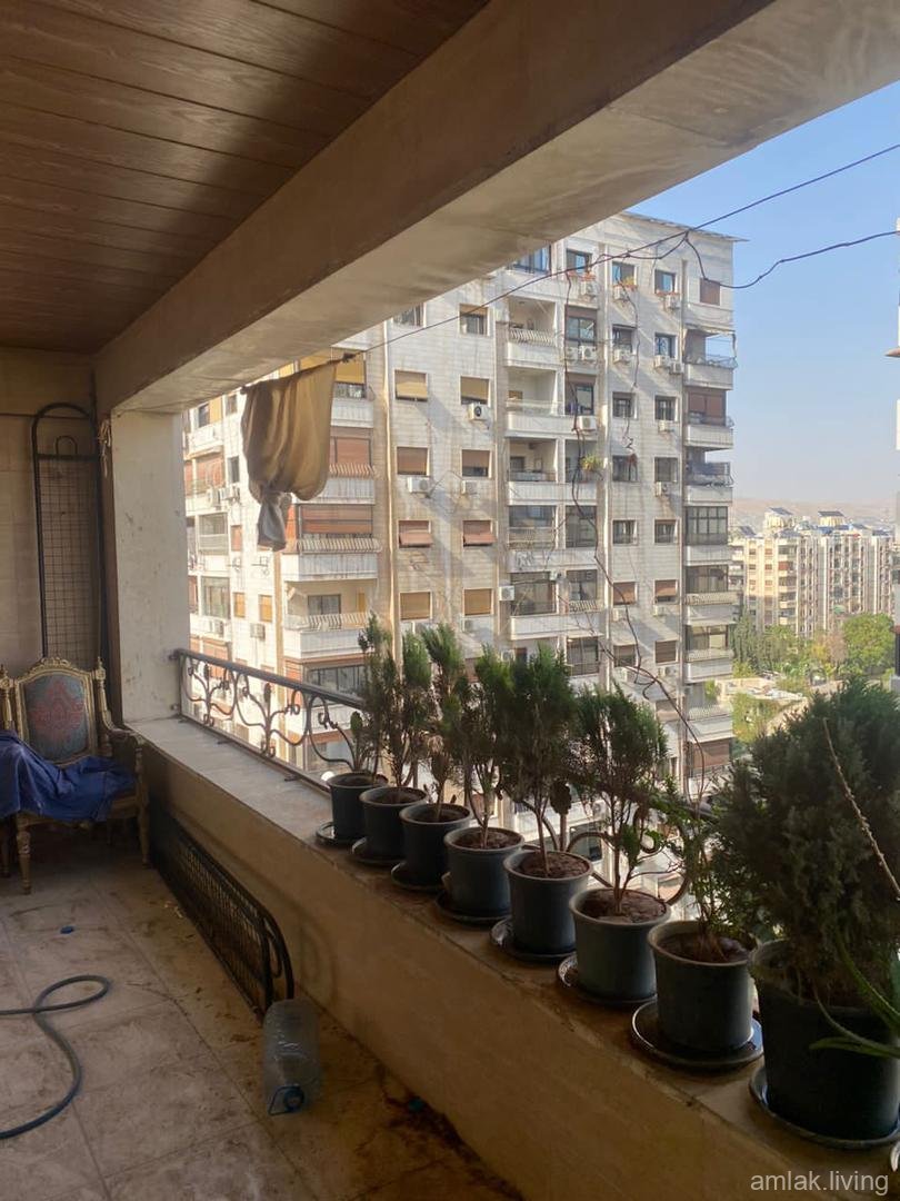 صورة العقار