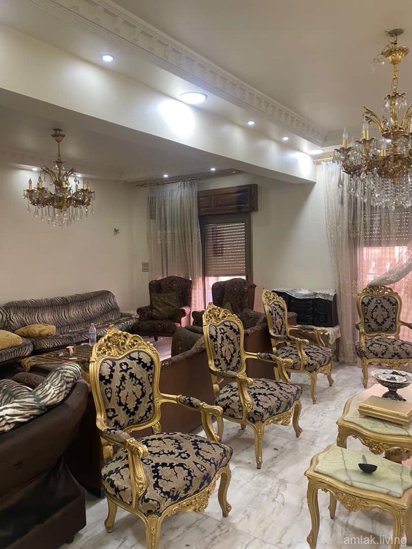 صورة العقار