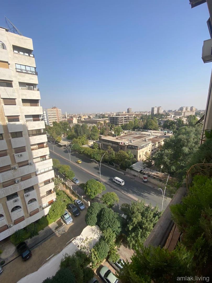 صورة العقار