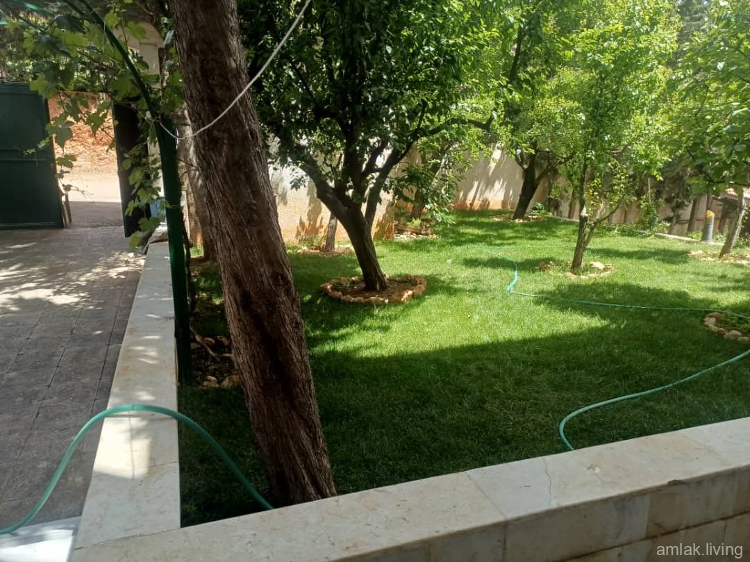 صورة العقار