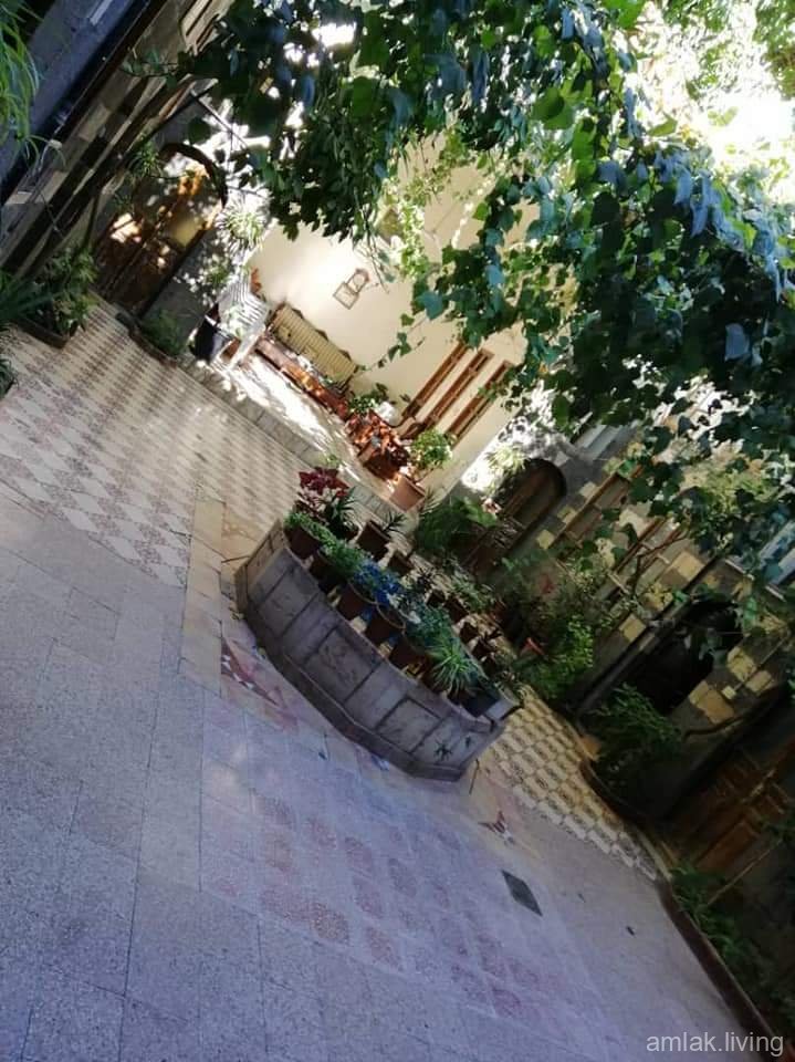 صورة العقار