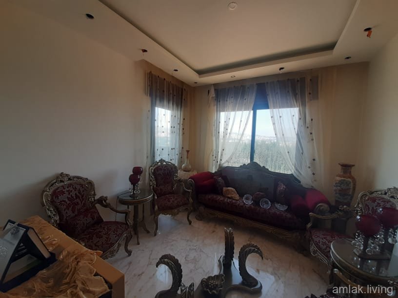 صورة العقار