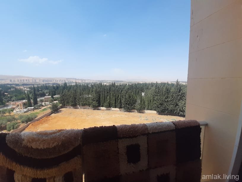 صورة العقار
