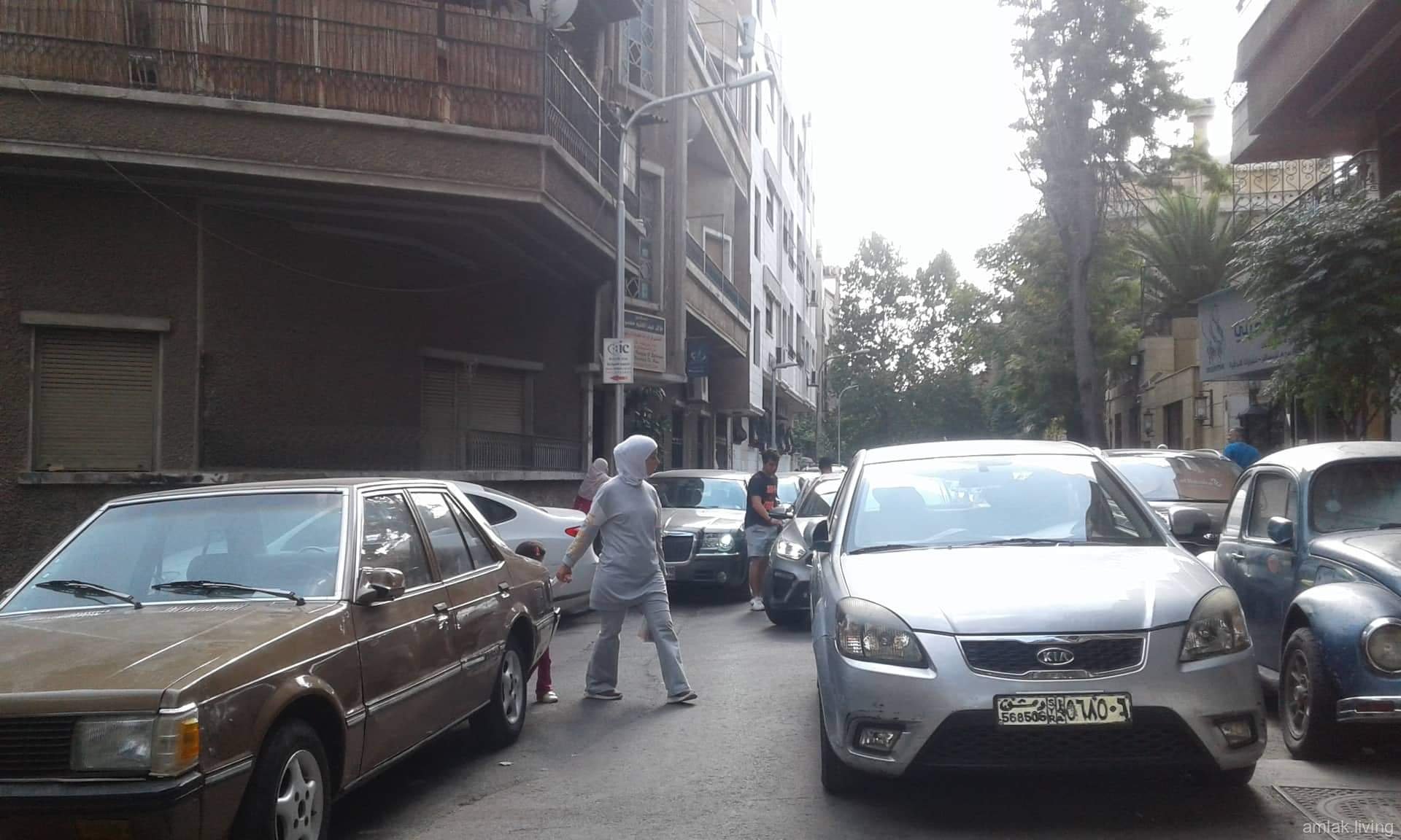 صورة العقار