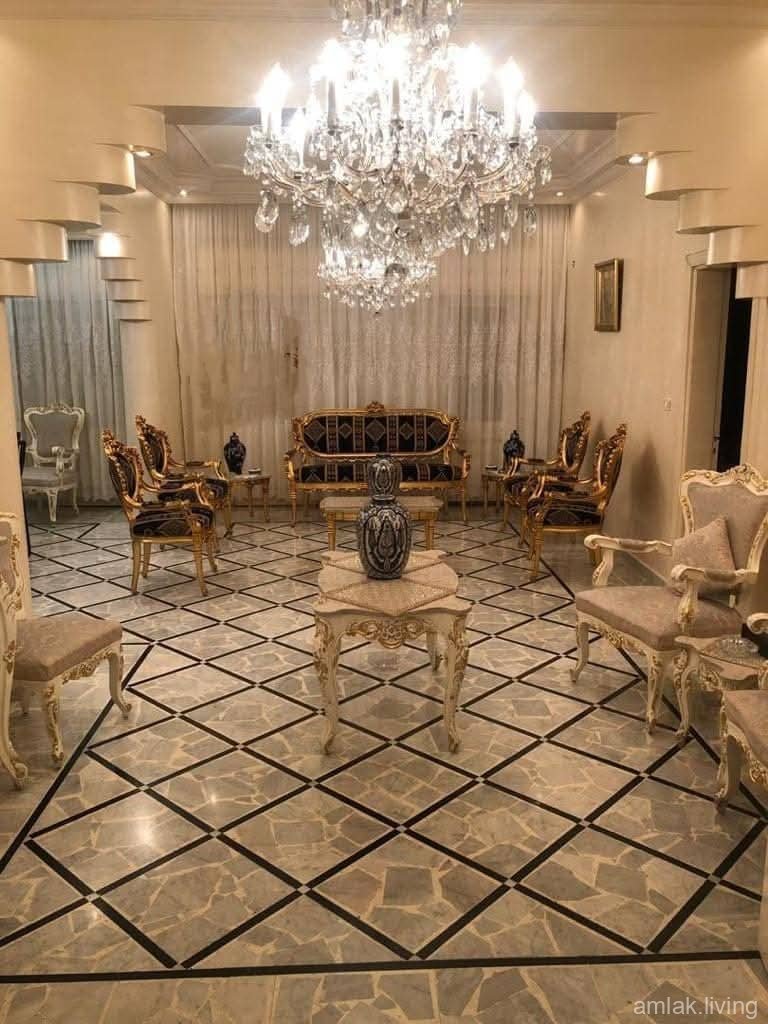 صورة العقار