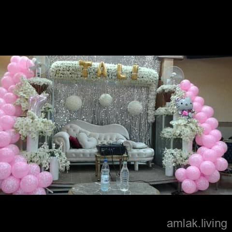 صورة العقار