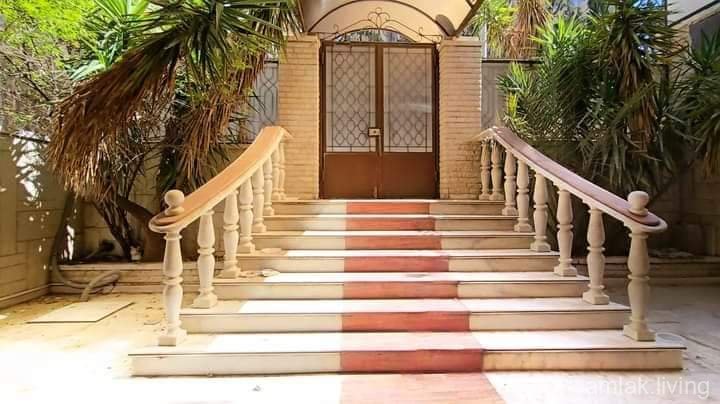 صورة العقار