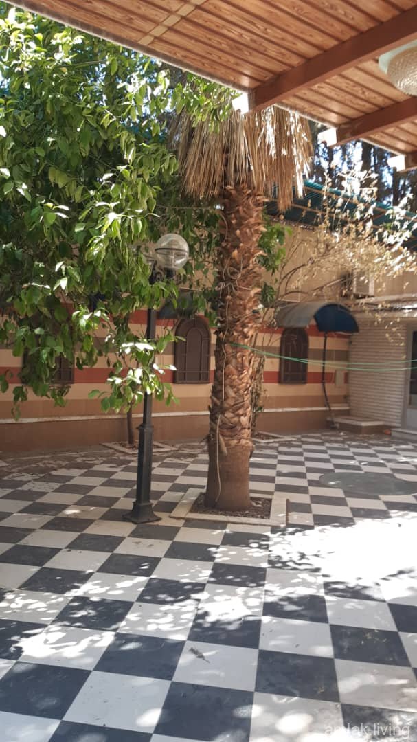 صورة العقار