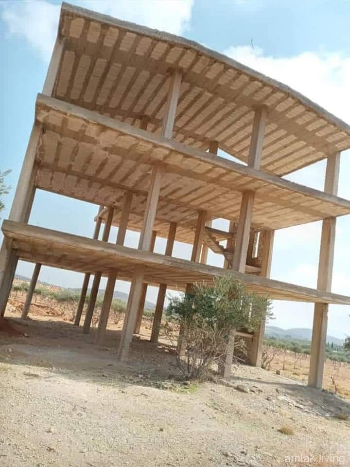 صورة العقار