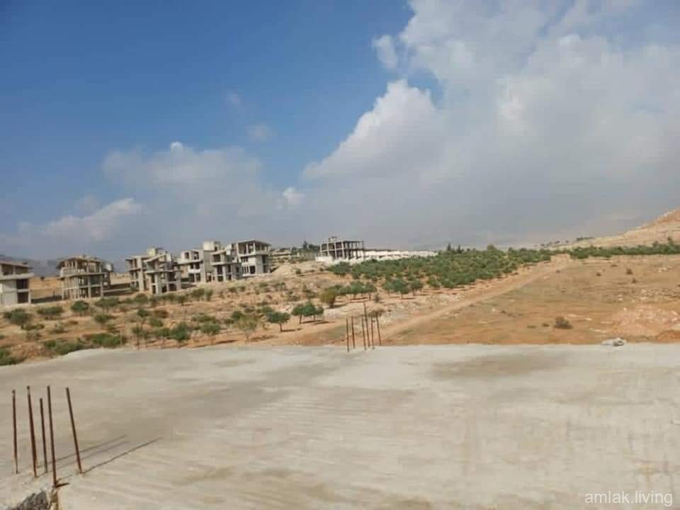 صورة العقار