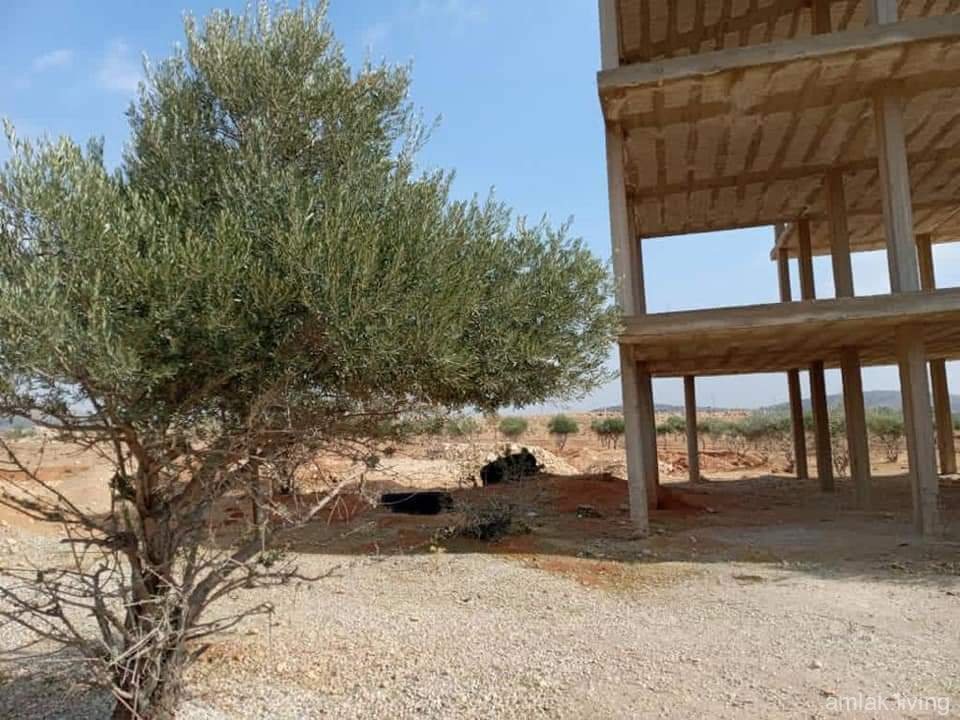 صورة العقار