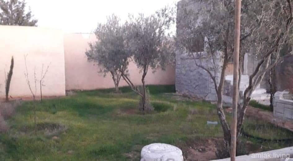 صورة العقار