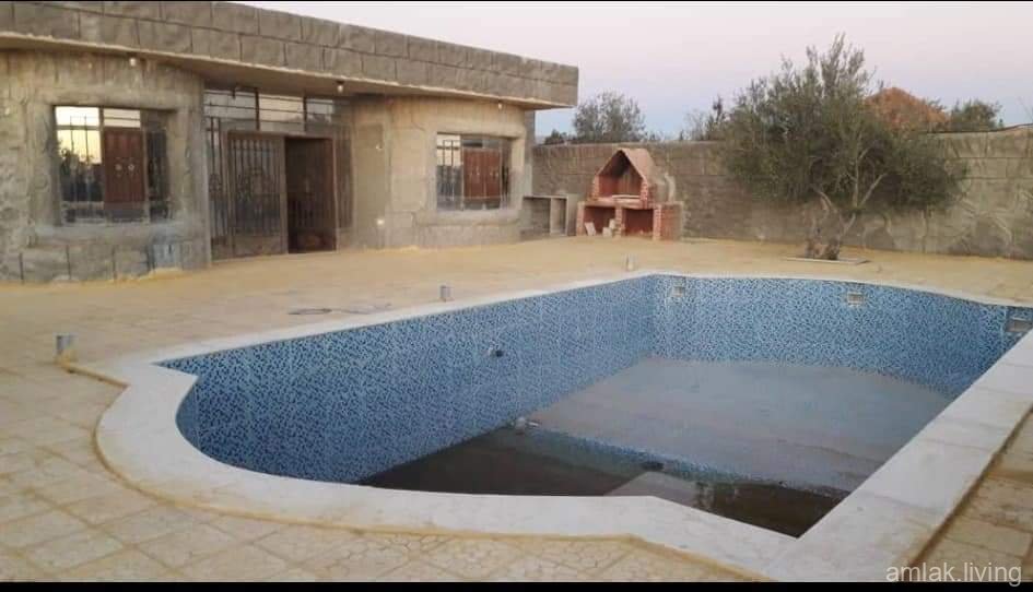 صورة العقار