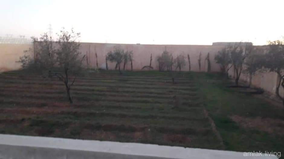 صورة العقار