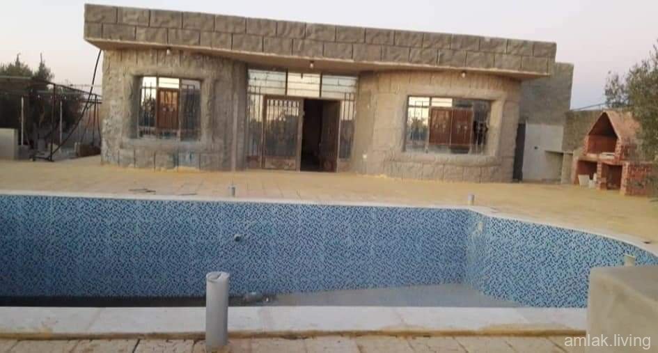 صورة العقار