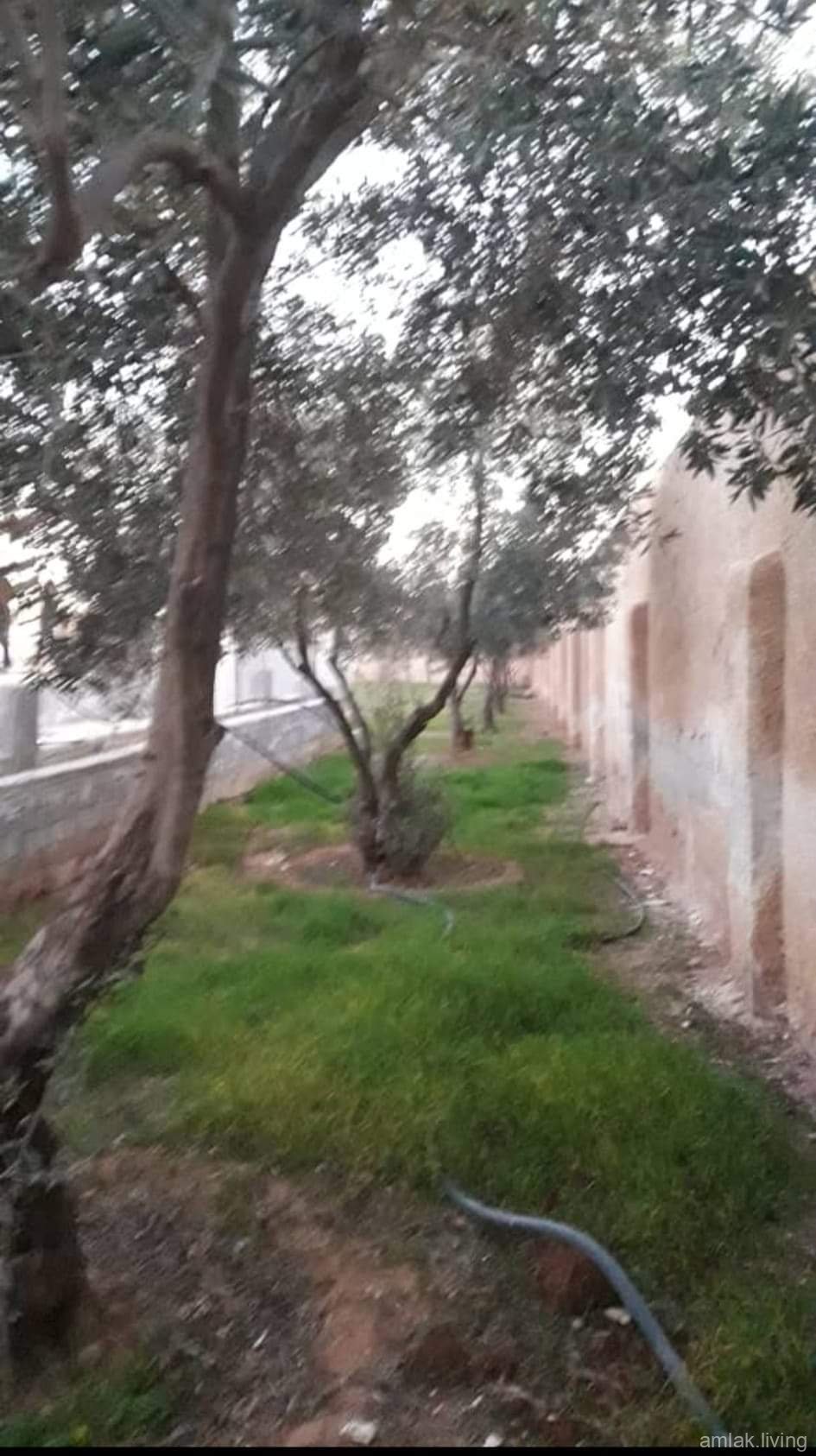 مزرعة على اتسراد درعا للبيع