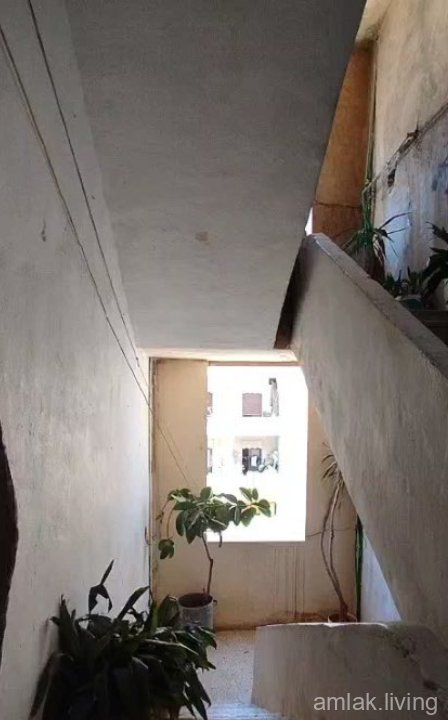 صورة العقار