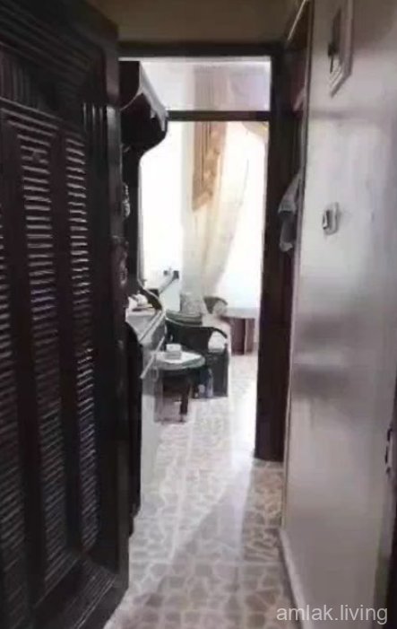 صورة العقار