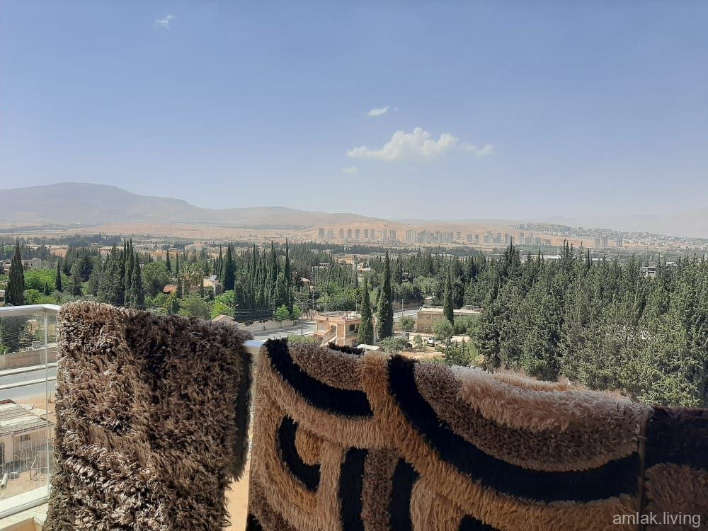 صورة العقار
