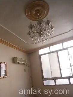 صورة العقار