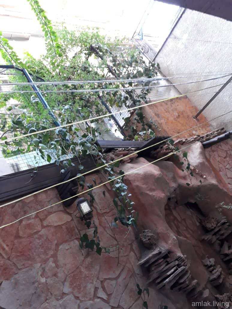 صورة العقار
