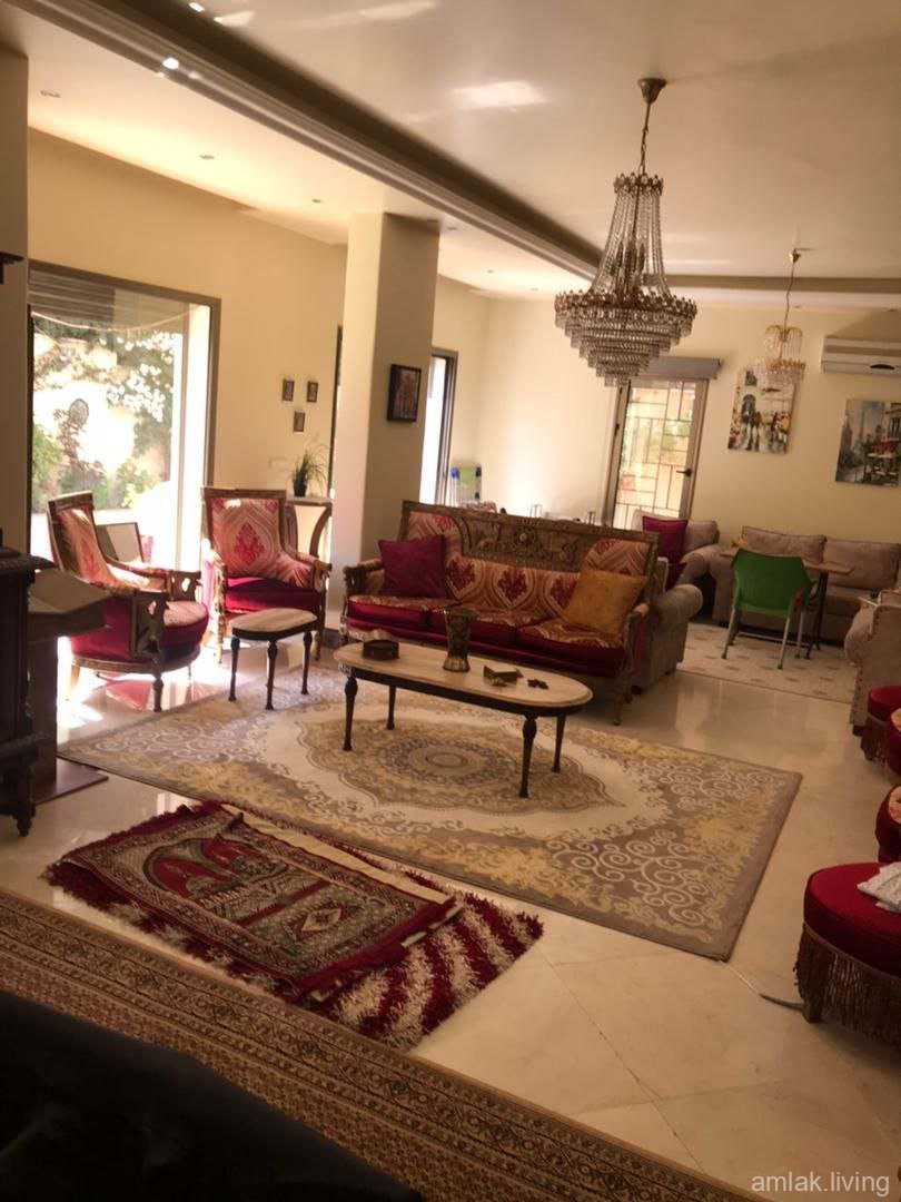 صورة العقار