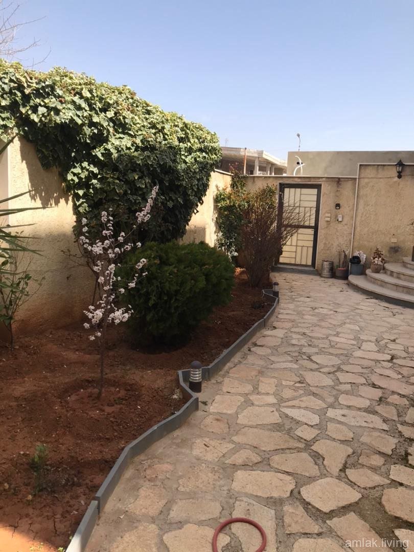 صورة العقار