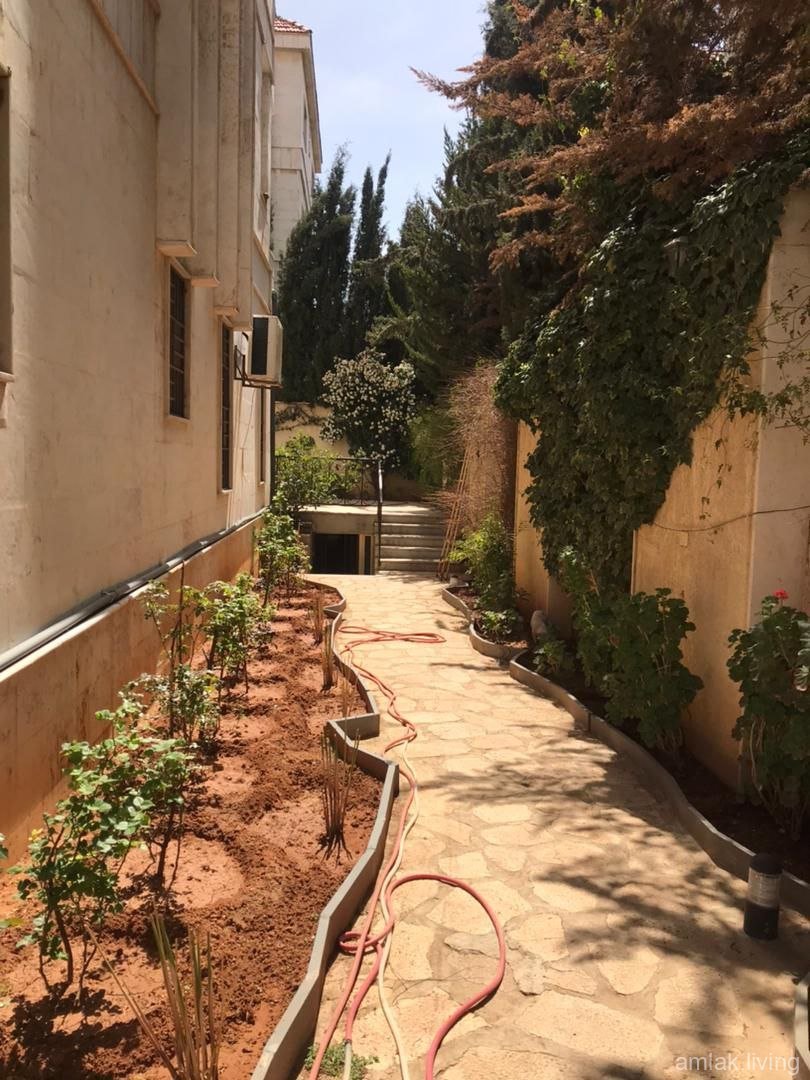 صورة العقار