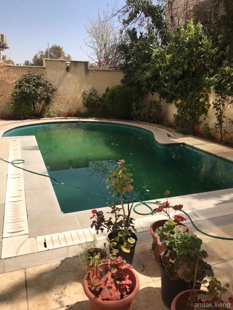 صورة العقار