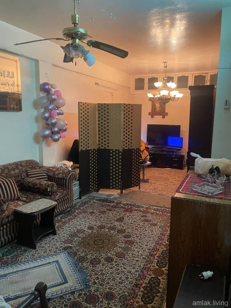 صورة العقار