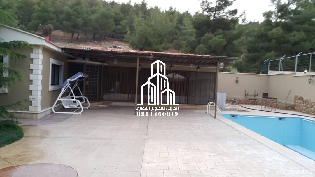 صورة العقار