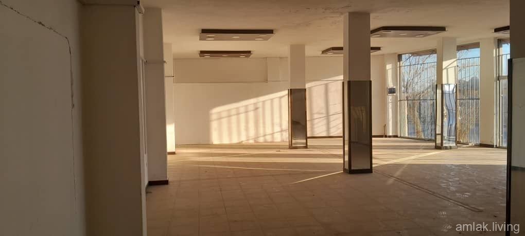 صورة العقار