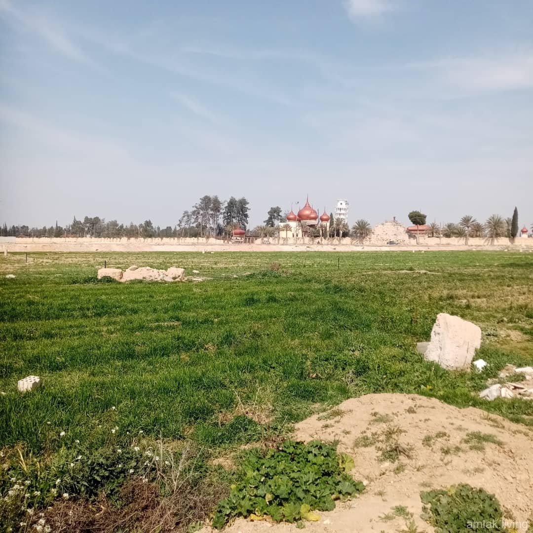 صورة العقار