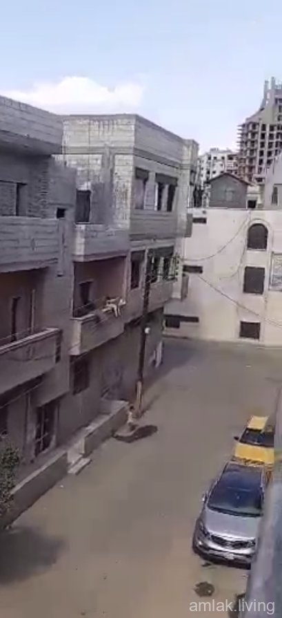 صورة العقار