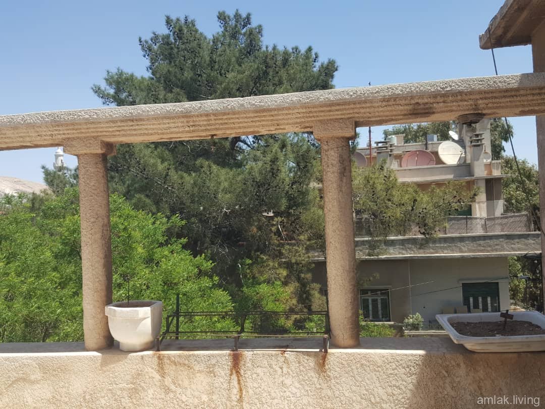 صورة العقار