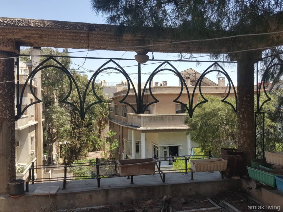 صورة العقار