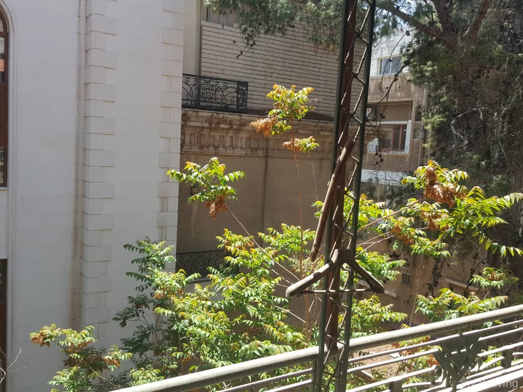 صورة العقار