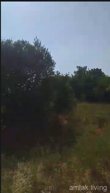 صورة العقار