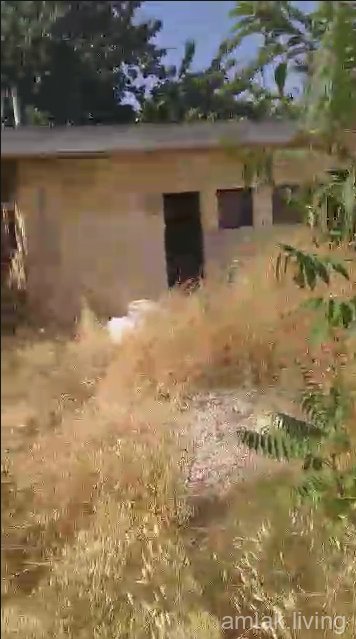 صورة العقار